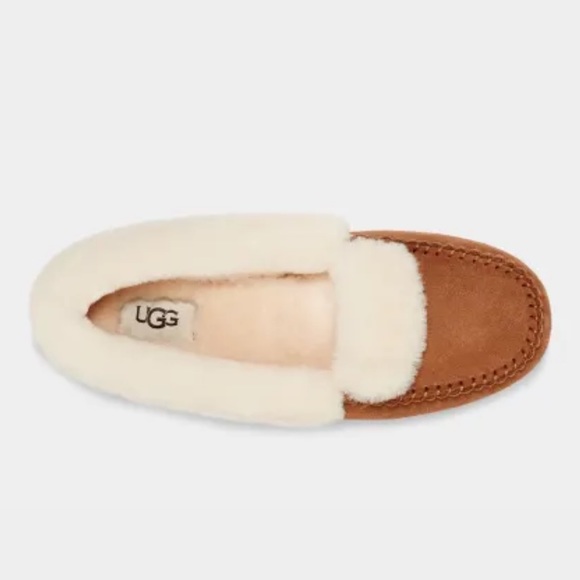 BNIB UGG Women Dakota Spill Seam Suede Shearling Lining Fur Chestnut Size 11 - Picture 6 of 15